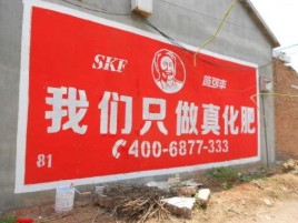 泰顺刷墙广告”蕴含了时代命题
