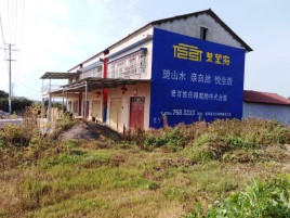 泰顺必须知道的墙体广告形势