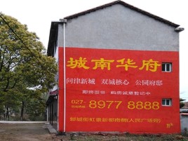 泰顺百分之90的人都不了解的农村墙体广告