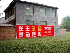 泰顺如何让墙体广告展现最大化效果