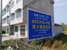 泰顺墙体广告质量分析