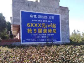 泰顺品牌公司青睐的墙体广告
