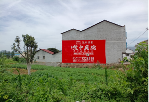 泰顺做墙体广告的意义