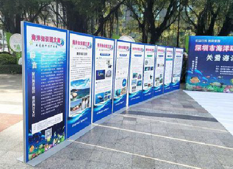 泰顺KT板的种类和知识。